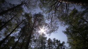 Pisara: 25.06.2016 15.10