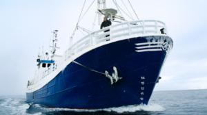 Historia: PQ17 - saattue merisodassa: 06.06.2016 19.00