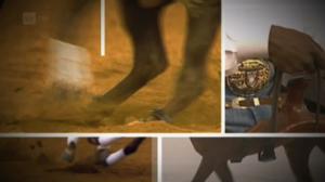 Ratsastuksen maailma: 09.10.2016 15.50