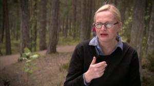 Pisara: 16.07.2016 15.10