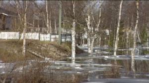 Yle Uutiset Lappi: Yle Uutiset Lappi 11-05-2016 Klo 17-06: 11.05.2016 16.54