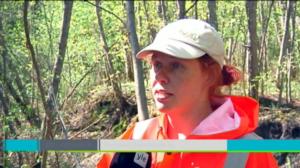 Yle Uutiset Häme: Yle Uutiset Häme 12-05-2016 klo 17-06: 12.05.2016 16.27