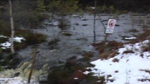 Yle Uutiset Itä-Suomi: Yle Uutiset Itä-Suomi 13-05-2016 Klo 17-06: 13.05.2016 16.31