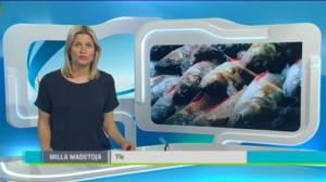 Yle Uutiset Keski-Suomi: Yle Uutiset Keski-Suomi 16-05-2016 Klo 18-22: 16.05.2016 18.14