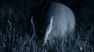 Afrikan luonnon helmiä: 02.09.2016 17.55