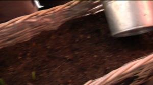 Minusta tulee isoveli (S): 27.06.2016 18.30