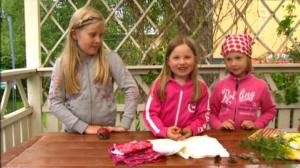 Leikitään: Kesäleikit: 20.06.2016 07.09