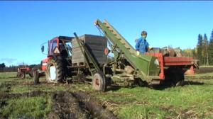 Neljä nenää: Perunannosto: 22.08.2016 18.00