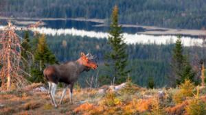 Luontoretkellä: 12.09.2016 12.55