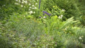 Pisara: 06.08.2016 15.10