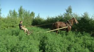 Tanskalainen maajussi: 09.06.2016 12.30