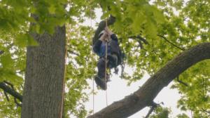 TumeFest: Puukiipeilyn SM: 17.06.2016 11.00