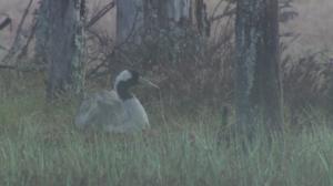 Norjalaisia luontokuvaajia: 04.08.2016 19.45