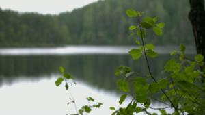 Korpijengi: Räppiä ja treeniä: 02.08.2016 11.00