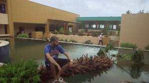 Leo juhlii maailmalla: 07.11.2016 10.00