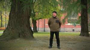 Pisara: 12.11.2016 15.11