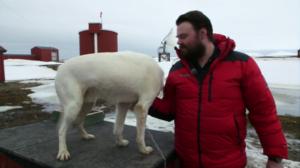 Karhusaari: 16.05.2016 12.20