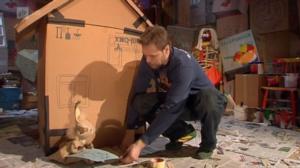 Herää pahvi: 13.12.2016 18.00