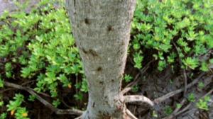 Afrikan luonnon helmiä: 25.08.2016 17.55