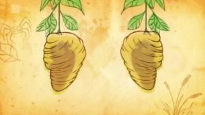 Ötökät (S): 21.06.2016 08.35