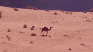 Pieni suuri maailma: 11.10.2016 19.54