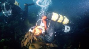 Vedenalainen Islanti (S): 29.11.2016 17.00