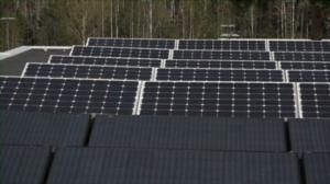 Luonto lähellä: 16.05.2016 06.27