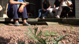 Yle Uutiset Pirkanmaa: Yle Uutiset Pirkanmaa 20-05-2016 Klo 17-06: 20.05.2016 17.02