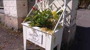 Yle Uutiset Uusimaa: Yle Uutiset Uusimaa 20-05-2016 klo 17-06: 20.05.2016 18.31