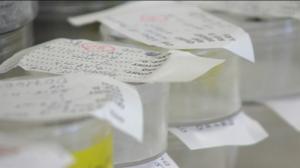 Yle Uutiset Uusimaa: Yle Uutiset Uusimaa 23-05-2016 klo 17-06: 23.05.2016 17.14