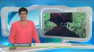 Yle Uutiset Lounais-Suomi: Yle Uutiset Lounais-Suomi 23-05-2016 Klo 18-22: 23.05.2016 17.41