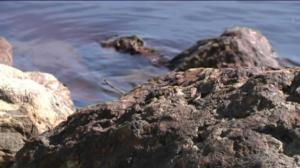 Yle Uutiset Itä-Suomi: Yle Uutiset Itä-Suomi 24-05-2016 Klo 17-06: 24.05.2016 16.51