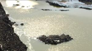 Yle Uutiset Itä-Suomi: Yle Uutiset Itä-Suomi 25-05-2016 Klo 17-06: 25.05.2016 16.50