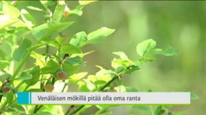 Yle Uutiset Itä-Suomi: Yle Uutiset Itä-Suomi 26-05-2016 Klo 18-22: 26.05.2016 17.41