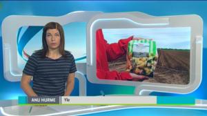 Yle Uutiset Pohjois-Suomi: Yle Uutiset Pohjois-Suomi 27-05-2016 Klo 18-22: 27.05.2016 17.47
