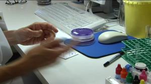 Yle Uutiset Uusimaa: Yle Uutiset Uusimaa 31-05-2016 klo 17-04: 31.05.2016 17.17