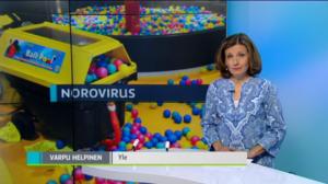 Yle Uutiset Uusimaa: Yle Uutiset Uusimaa 07-06-2016 klo 18-22: 07.06.2016 18.38