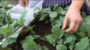 Yle Uutiset Pirkanmaa: Yle Uutiset Pirkanmaa 10-06-2016 Klo 17-06: 10.06.2016 16.42