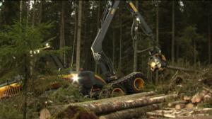 Yle Uutiset Itä-Suomi: Yle Uutiset Itä-Suomi 10-06-2016 Klo 17-06: 10.06.2016 17.04