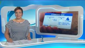 Yle Uutiset Lounais-Suomi: Yle Uutiset Lounais-Suomi 10-06-2016 Klo 18-22: 10.06.2016 17.41