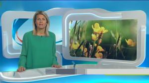 Yle Uutiset Lounais-Suomi: Yle Uutiset Lounais-Suomi 13-06-2016 Klo 18-22: 13.06.2016 16.47
