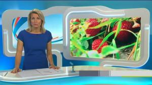 Yle Uutiset Häme: Yle Uutiset Häme 05-07-2016 Klo 18-22: 05.07.2016 17.33