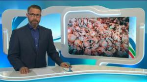 Yle Uutiset Itä-Suomi: Yle Uutiset Itä-Suomi 06-07-2016 Klo 18-22: 06.07.2016 17.25