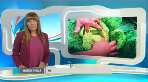 Yle Uutiset Keski-Suomi: Yle Uutiset Keski-Suomi 13-07-2016 Klo 18-22: 13.07.2016 16.52