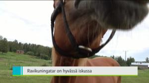 Yle Uutiset Kaakkois-Suomi: Yle Uutiset Kaakkois-Suomi 18-07-2016 Klo 18-22: 18.07.2016 16.40