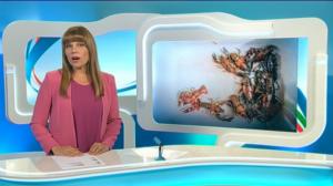 Yle Uutiset Itä-Suomi: Yle Uutiset Itä-Suomi 19-07-2016 Klo 18-22: 19.07.2016 17.31