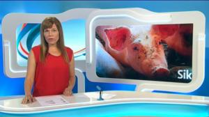 Yle Uutiset Itä-Suomi: Yle Uutiset Itä-Suomi 21-07-2016 Klo 18-22: 21.07.2016 16.59