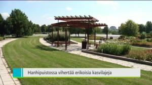 Yle Uutiset Lounais-Suomi: Yle Uutiset Lounais-Suomi 26-07-2016 Klo 18-22: 26.07.2016 17.21