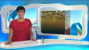 Yle Uutiset Kaakkois-Suomi: Yle Uutiset Kaakkois-Suomi 29-07-2016 Klo 18-22: 29.07.2016 17.15
