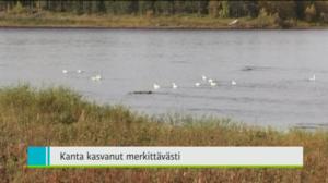 Yle Uutiset Lappi: Yle Uutiset Lappi 12-08-2016 Klo 18-22: 12.08.2016 17.08